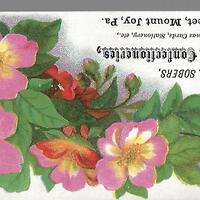 Magnolias.jpg