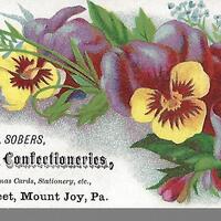 Pansies.jpg