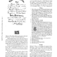 Stamm 7.pdf
